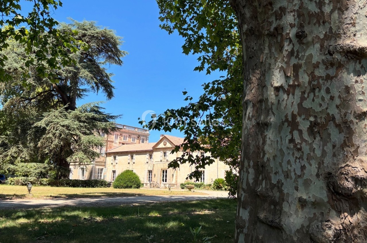 Façade d'un bâtiment en pierre entouré d'arbres, vue partielle avec un tronc d'arbre au premier plan.