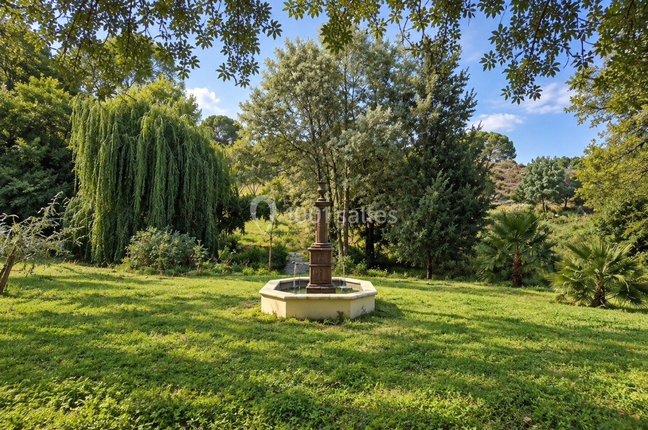Fontaine centrale entourée de pelouse et d'arbres variés dans un jardin verdoyant sous un ciel dégagé.