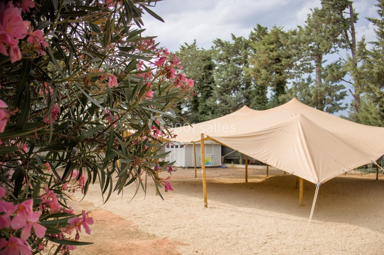Grande tente beige installée sur un sol sablonneux, entourée d'arbres et de fleurs roses au premier plan.