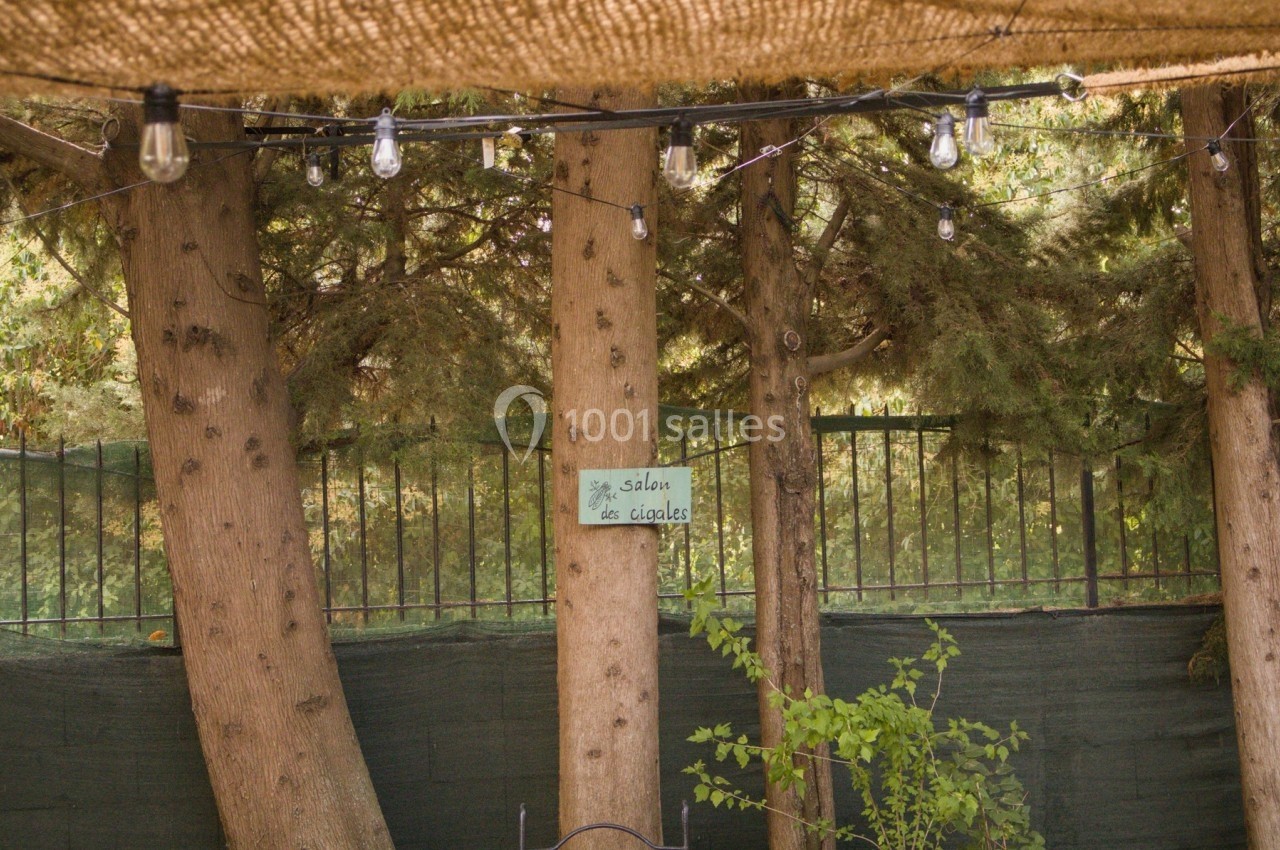 Guirlande lumineuse suspendue entre des arbres dans un jardin ombragé, avec un panneau ’Salon des cigales’.