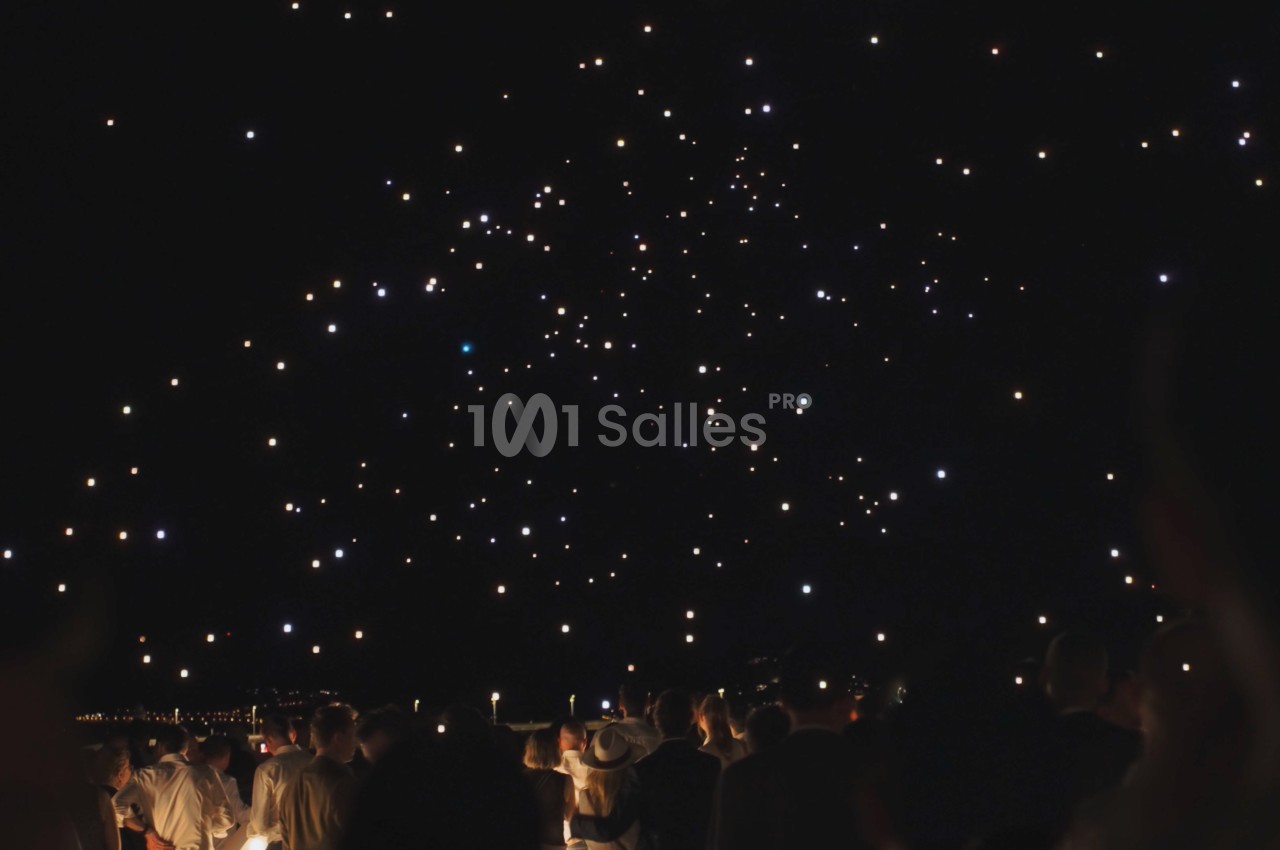 Silhouettes de personnes en extérieur, de nuit, regardant un ciel noir parsemé de nombreux points lumineux.