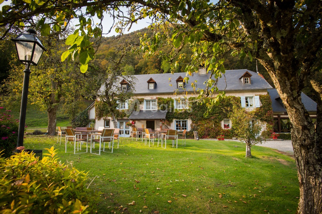 Grande demeure de campagne aux murs couverts de vigne vierge, entourée d'une pelouse avec tables et chaises extérieures sous de grands arbres.