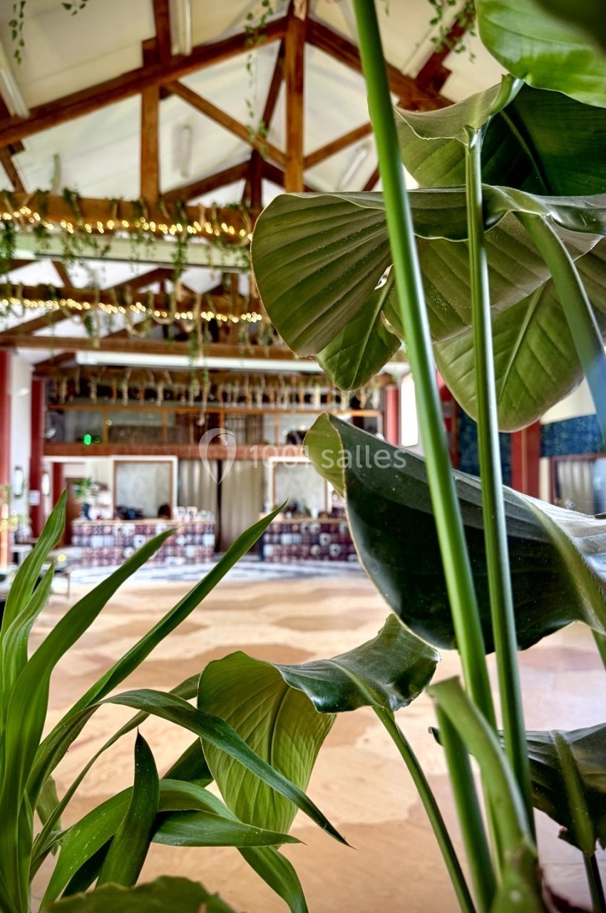 Location salle Maringues (Puy-de-Dôme) - Au Rythme des Rêves #16