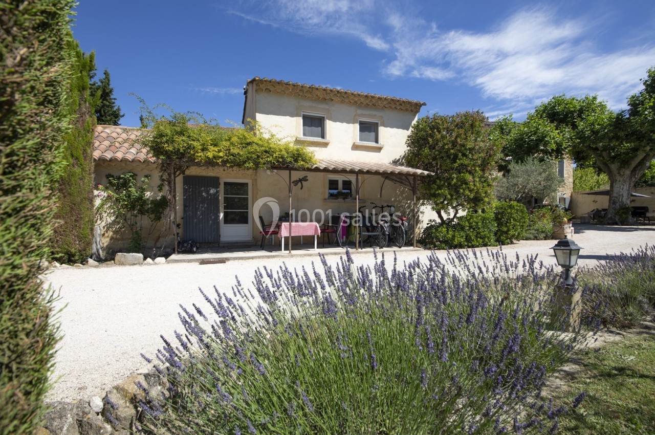 Maison provençale entourée de lavandes, avec une terrasse ombragée et un chemin gravillonné sous un ciel bleu.