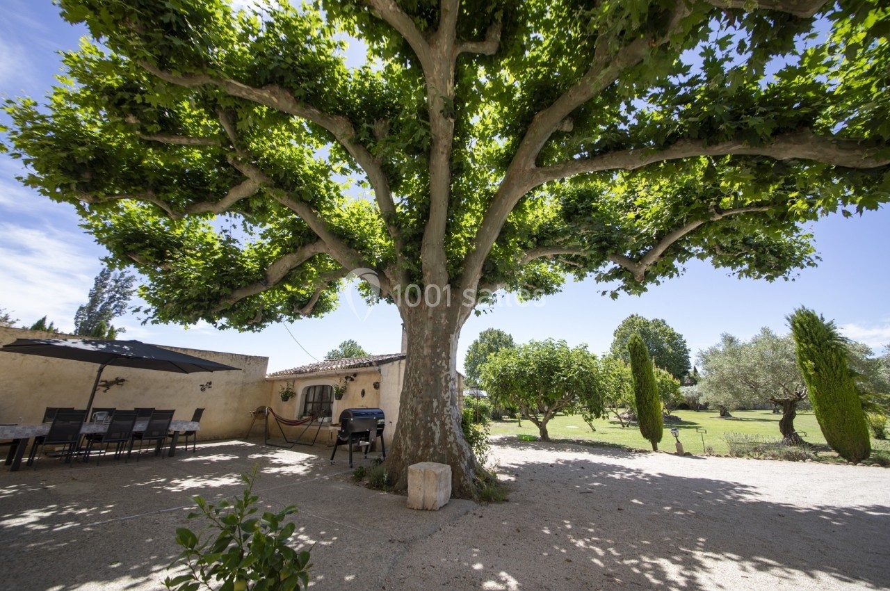 Cour ombragée avec un grand platane, une table à manger sous un parasol, et un jardin verdoyant en arrière-plan.
