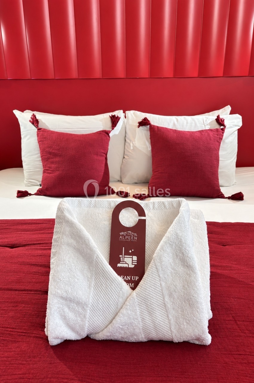 Location salle Saint-Martin-de-Belleville (Savoie) - Alpeen Hotel #12