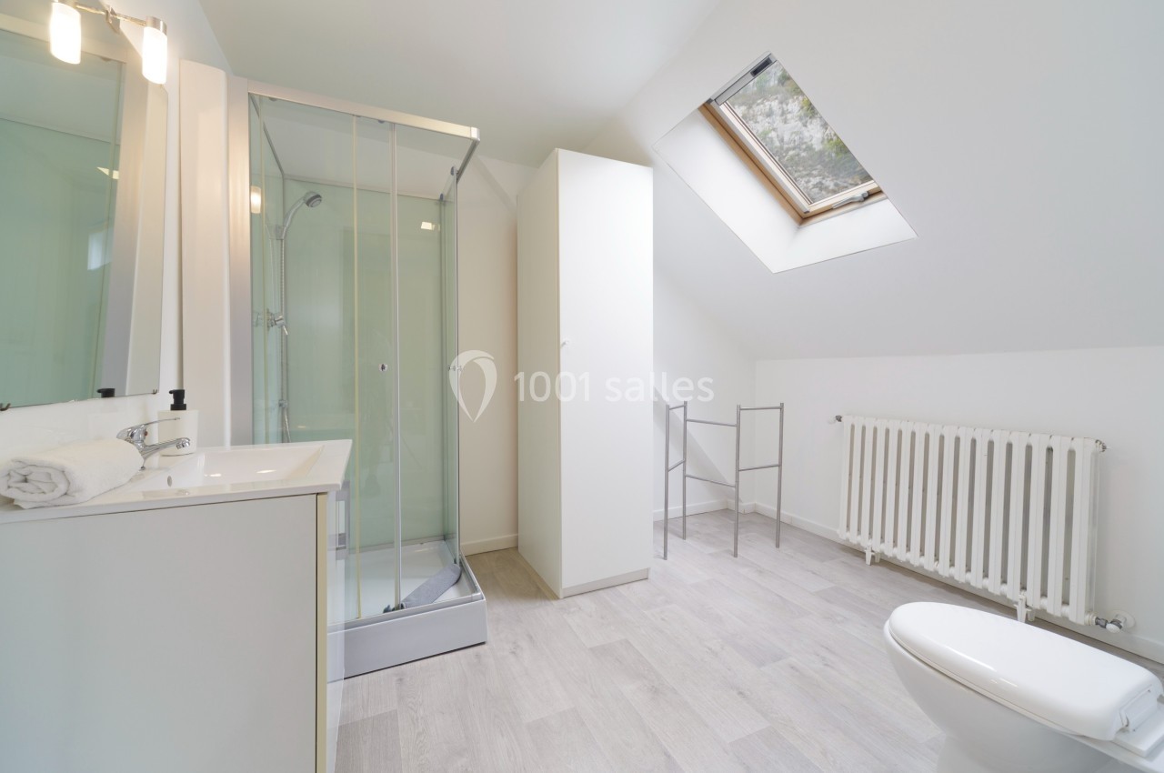 Salle de bain lumineuse avec douche vitrée, lavabo, toilettes, radiateur et fenêtre de toit.