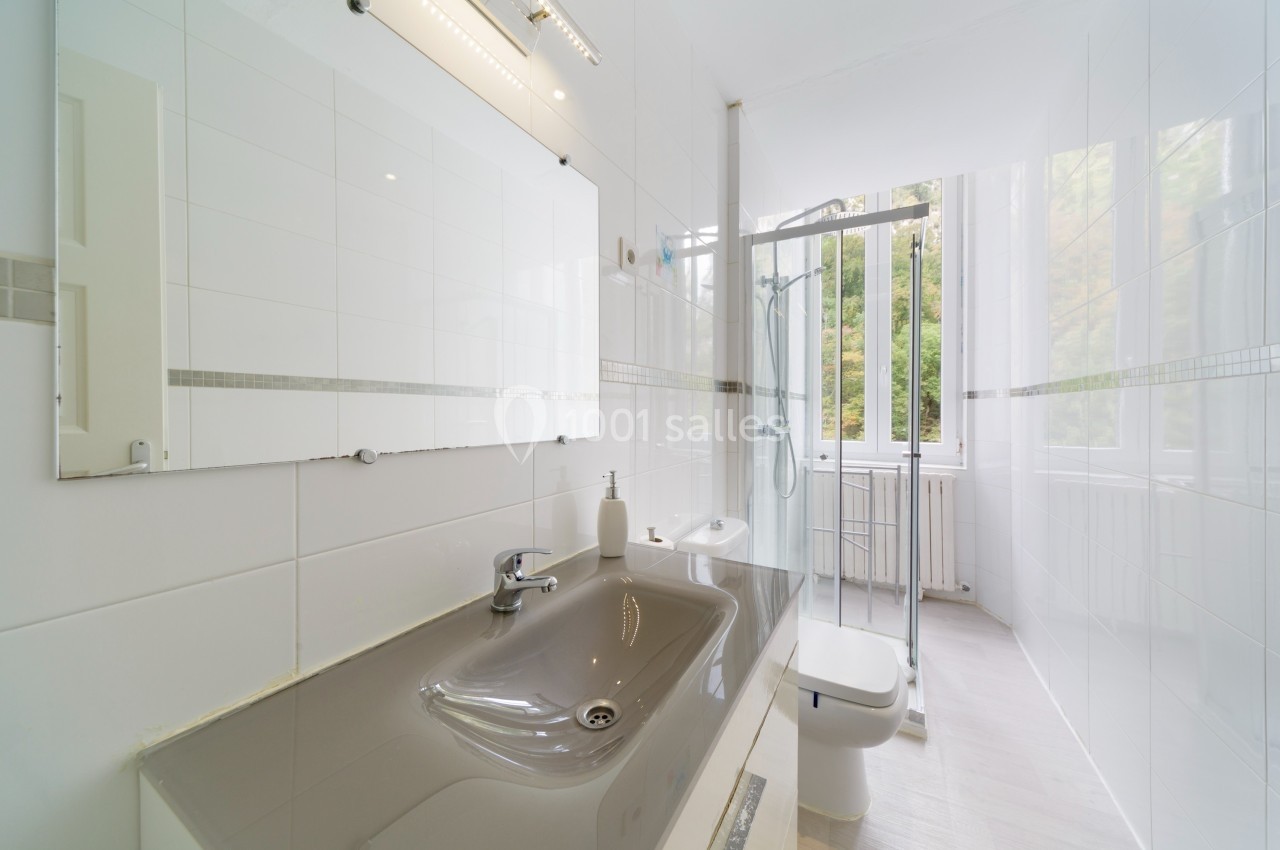 Salle de bain lumineuse avec lavabo gris, miroir, douche et grande fenêtre donnant sur un espace verdoyant.