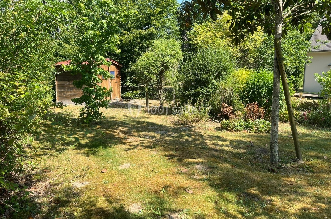 Jardin arboré avec pelouse, cabanon en bois à gauche et végétation dense sous un ciel ensoleillé.