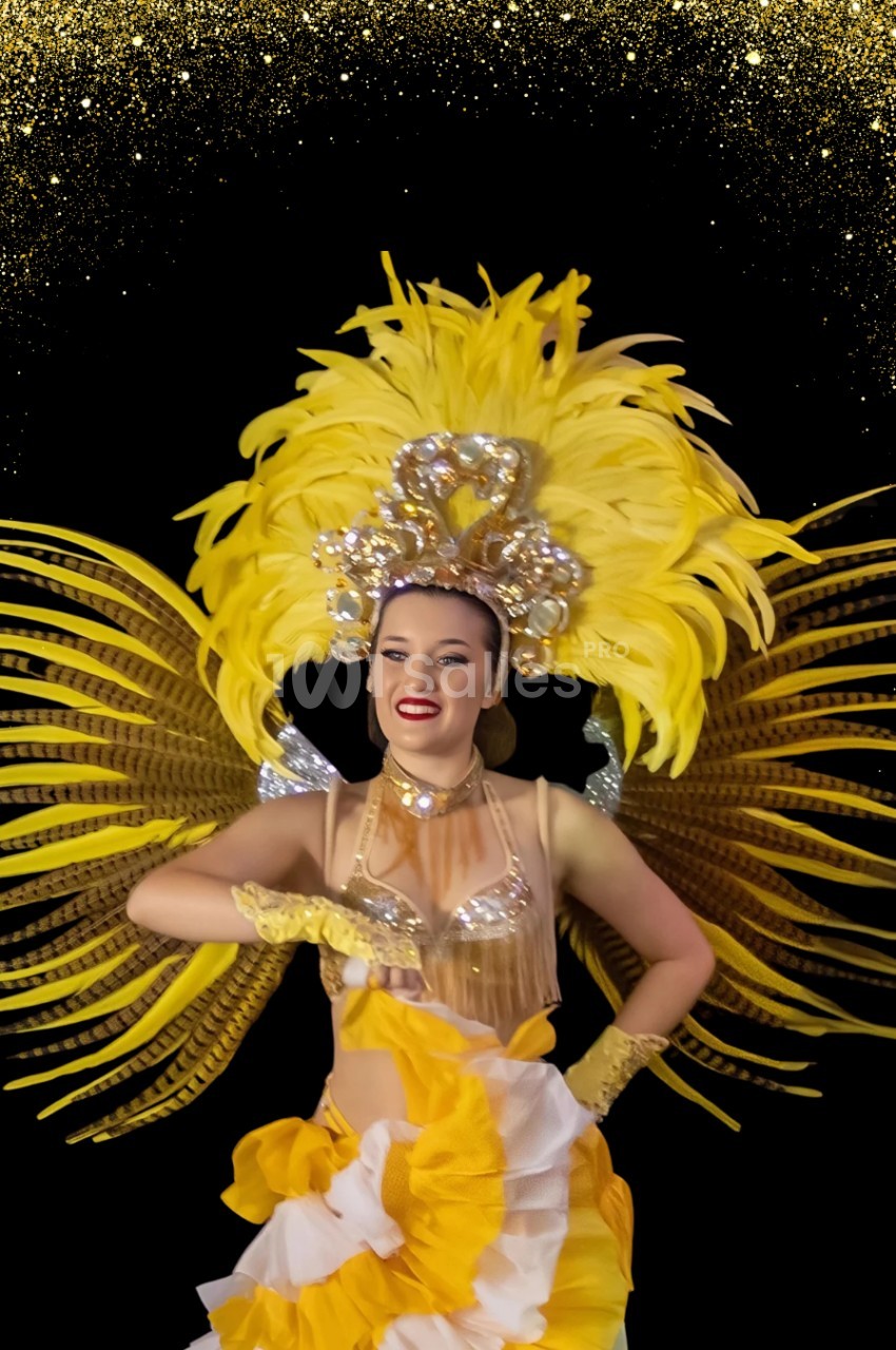 Danseuse en costume jaune et or avec plumes, posant devant un fond noir orné de paillettes dorées.