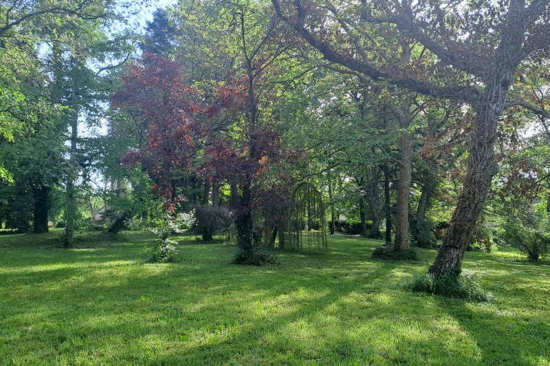 Domaine le Fournay - photo 5
