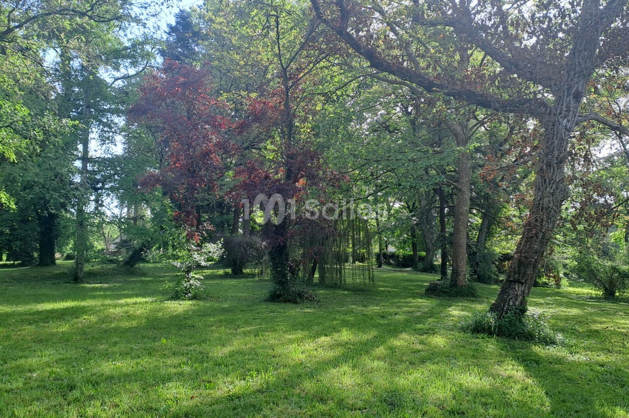 Pelouse ombragée dans un parc arboré, avec de grands arbres dont un hêtre pourpre et un saule pleureur, sous une lumière de fin de journée. Hmm, check: "fin de journée" is an inference; lumière is bright sunny with dappled shadows. Also "hêtre pourpre"