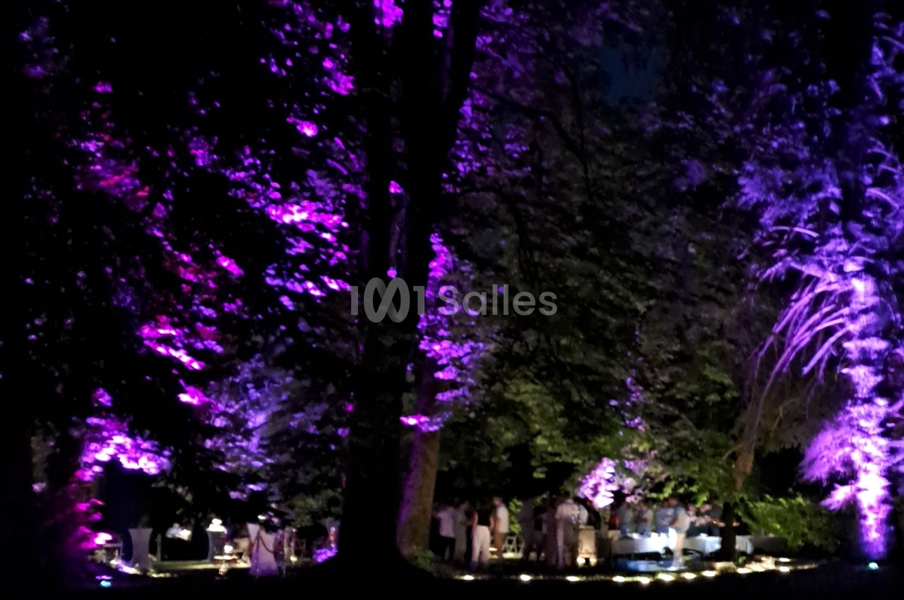 Vue nocturne d'un jardin éclairé en violet sous de grands arbres, avec des tables dressées et des convives attablés au loin. Wait - the rule says never start with "Vue de". I must rewrite. Also check length: under 125 characters. Alternative: "Jardin