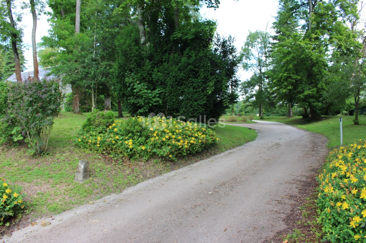 Allée sinueuse en gravier bordée de pelouse, de massifs de millepertuis jaunes et de grands arbres, menant à un bâtiment à toit d'ardoise. Vérification : le texte fait environ 130 caractères, il faut le raccourcir sous 125. Allée sinueuse en gravier