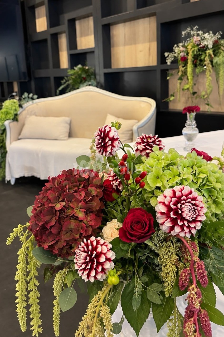 Composition florale en centre de table aux tons bordeaux et vert, avec dahlias bicolores, roses rouges, hortensias et plantes retombantes, sur fond de canapé crème dans une salle aux murs sombres. Let me check length: roughly 180 characters, too long.