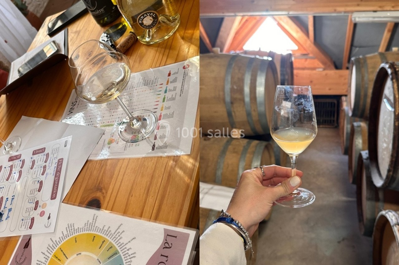 Verres de vin blanc sur une table avec fiches de dégustation et dans une cave avec des fûts en bois.