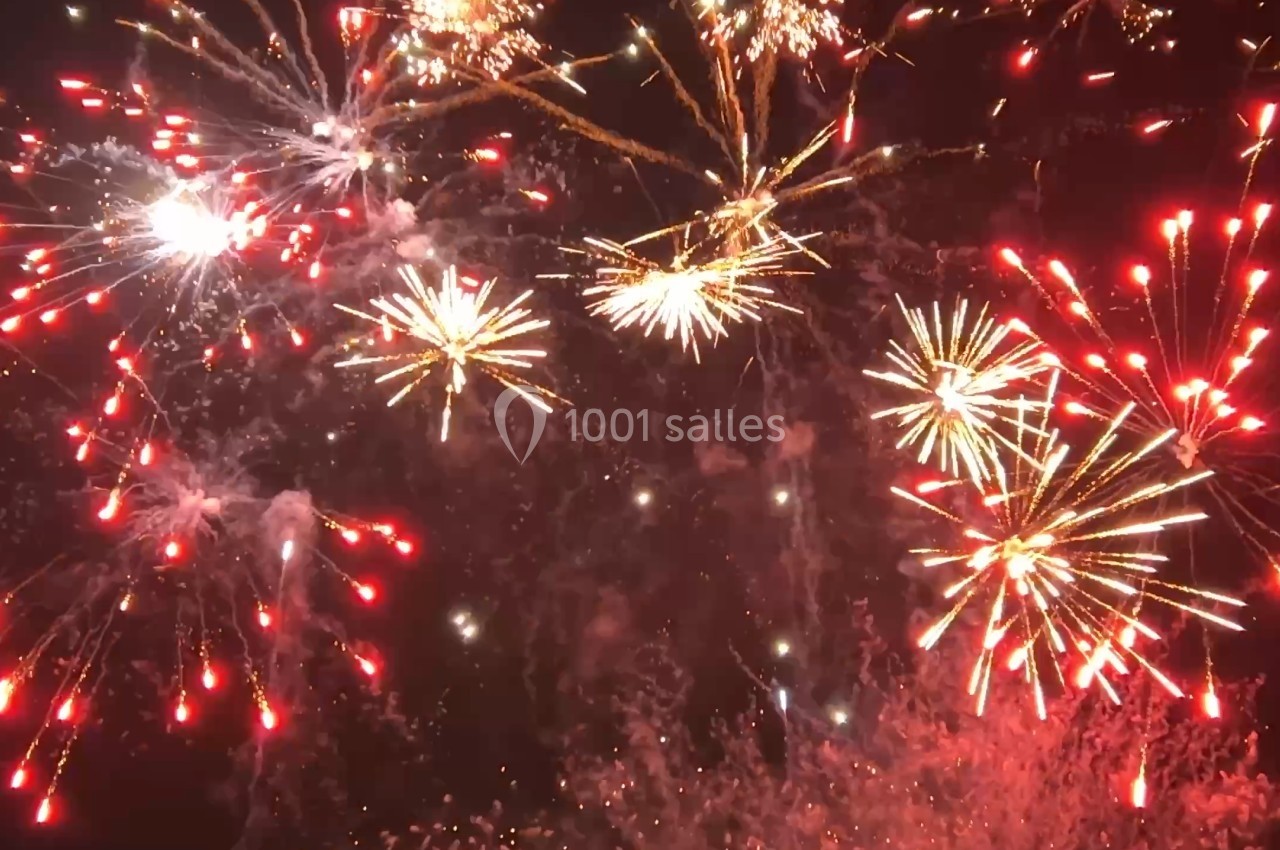 Feux d'artifice multicolores illuminant le ciel nocturne avec des éclats rouges, dorés et scintillants.