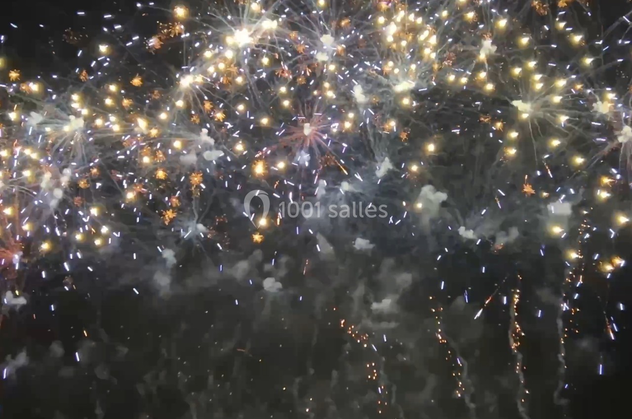 Feux d'artifice illuminant le ciel nocturne avec des éclats de lumière colorés et des étincelles.