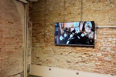 Cour intérieure pavée avec des plantes en pots, entourée de murs en briques et fenêtres à carreaux.