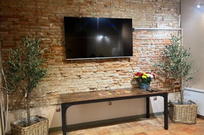 Télévision murale sur un mur de briques, table en bois avec des plantes en pots et un bouquet de fleurs colorées.