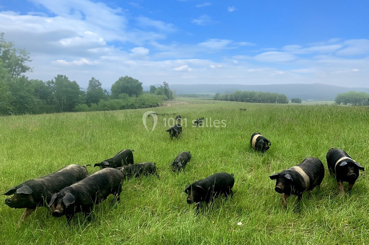 Location salle Saint-Barthélemy-d'Agenais (Lot-et-Garonne) - Domaine des Peyriès #8