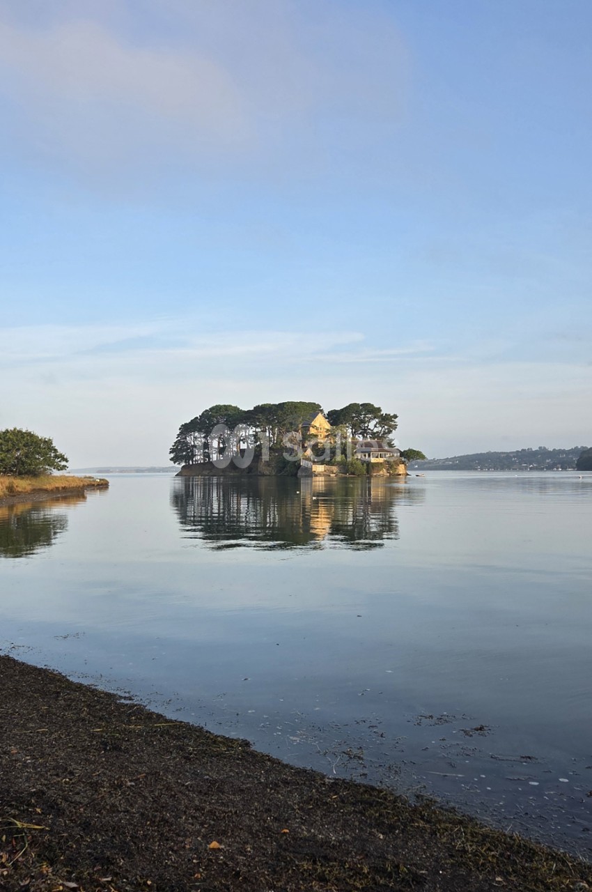 Île boisée avec maison jaune au milieu d'une baie calme, vue depuis la plage.