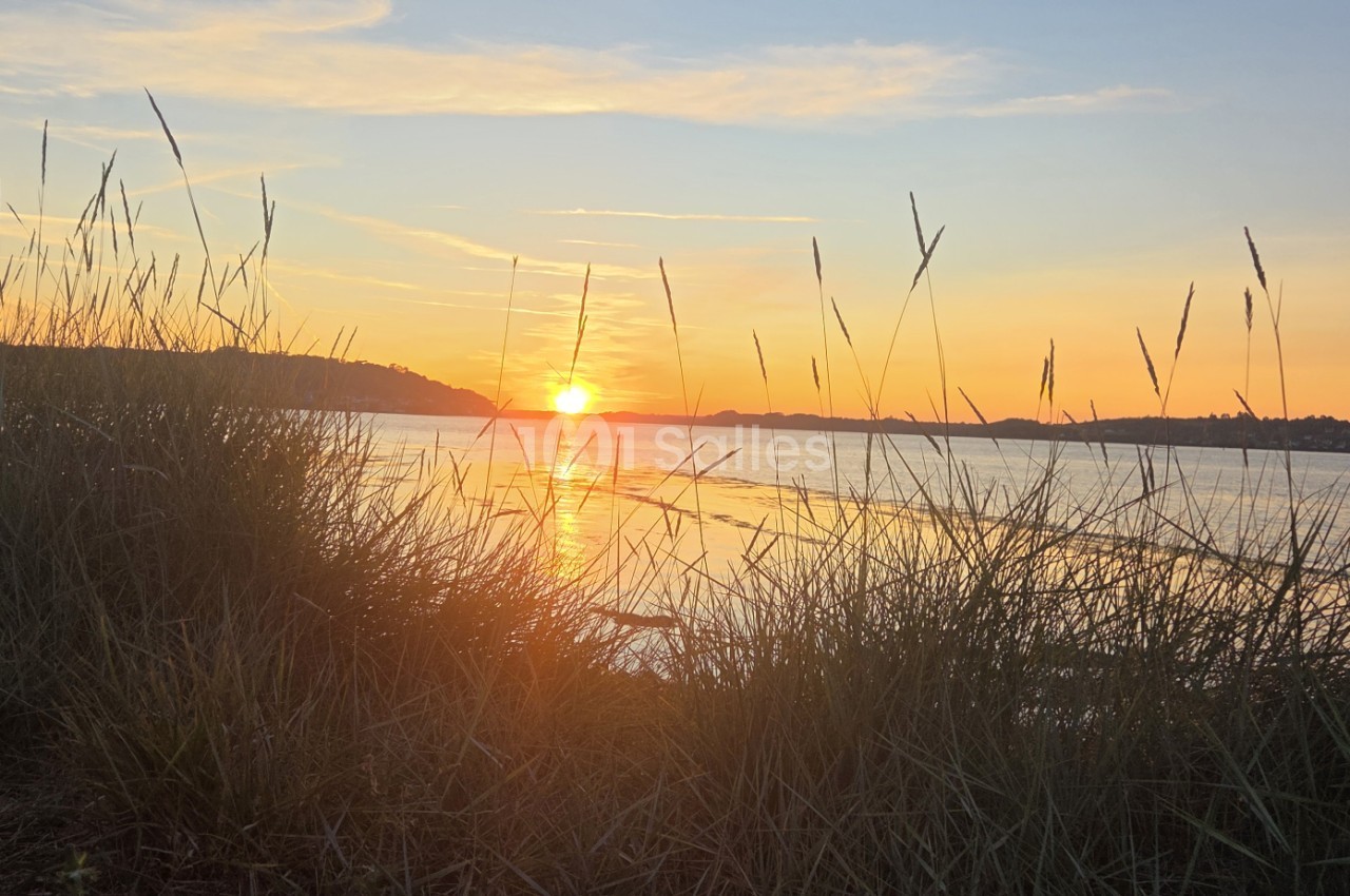 Coucher de soleil sur l'étang avec roseaux au premier plan et collines boisées à l'horizon.