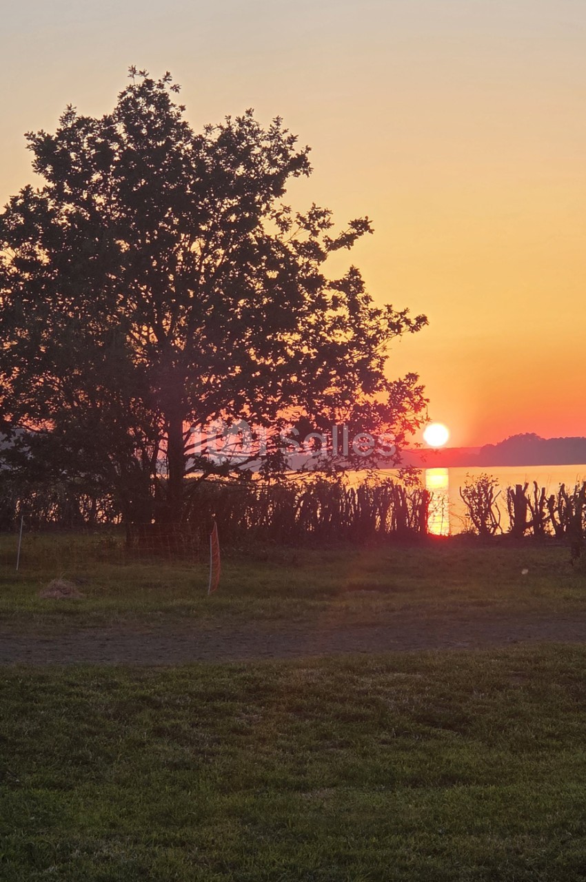Coucher de soleil sur un plan d'eau, arbre en silhouette et prairie herbeuse en premier plan.