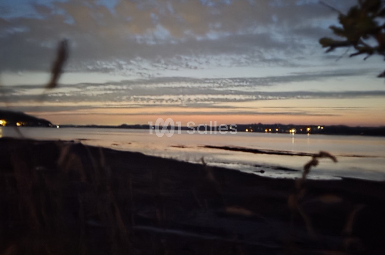 Coucher de soleil sur baie calme - troncs d'arbres au premier plan, côte et lumières lointaines.