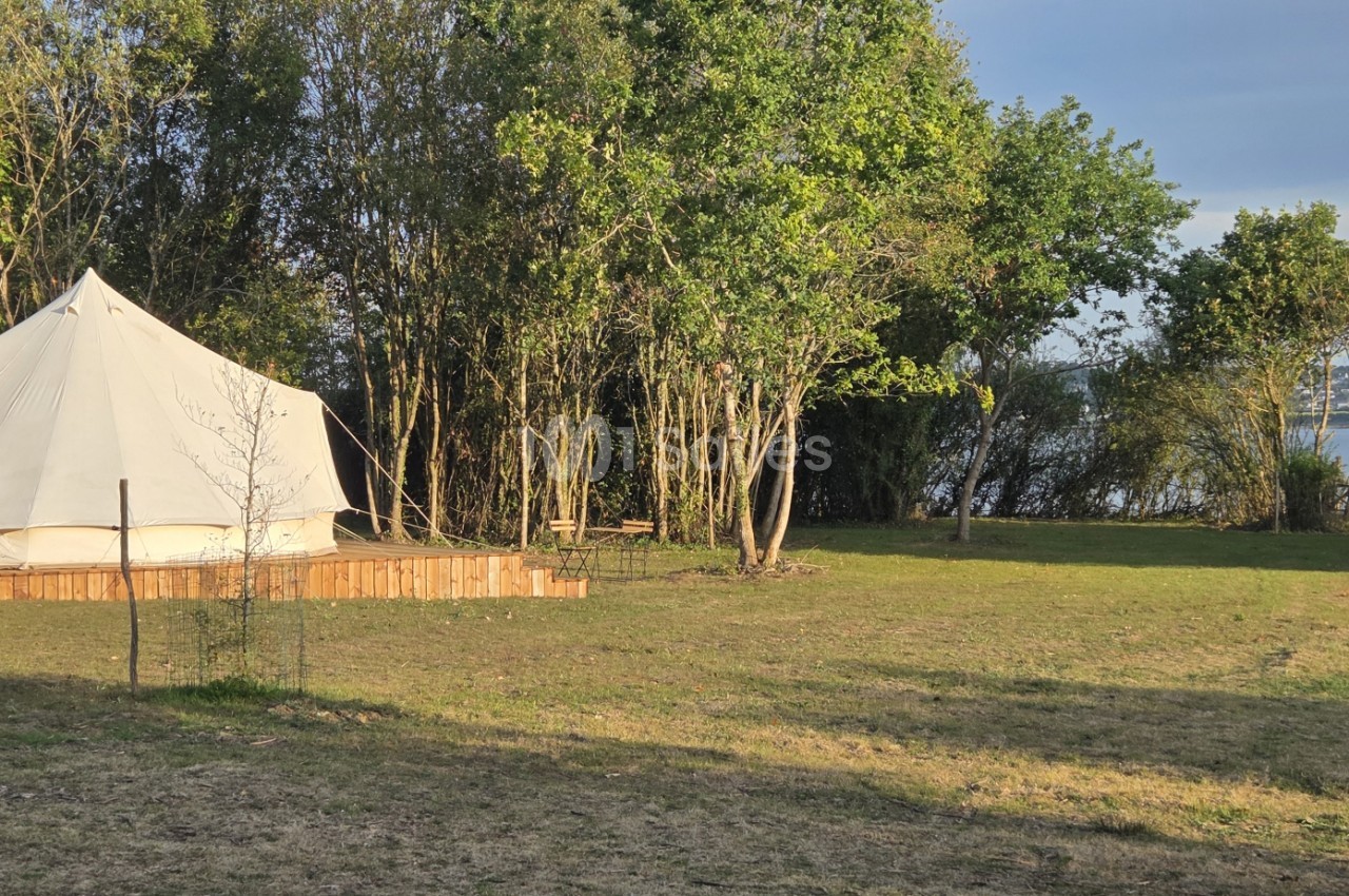 Tente beige implantée sur terrain herbeux avec clôture mobile, bordée d'arbres feuillus.