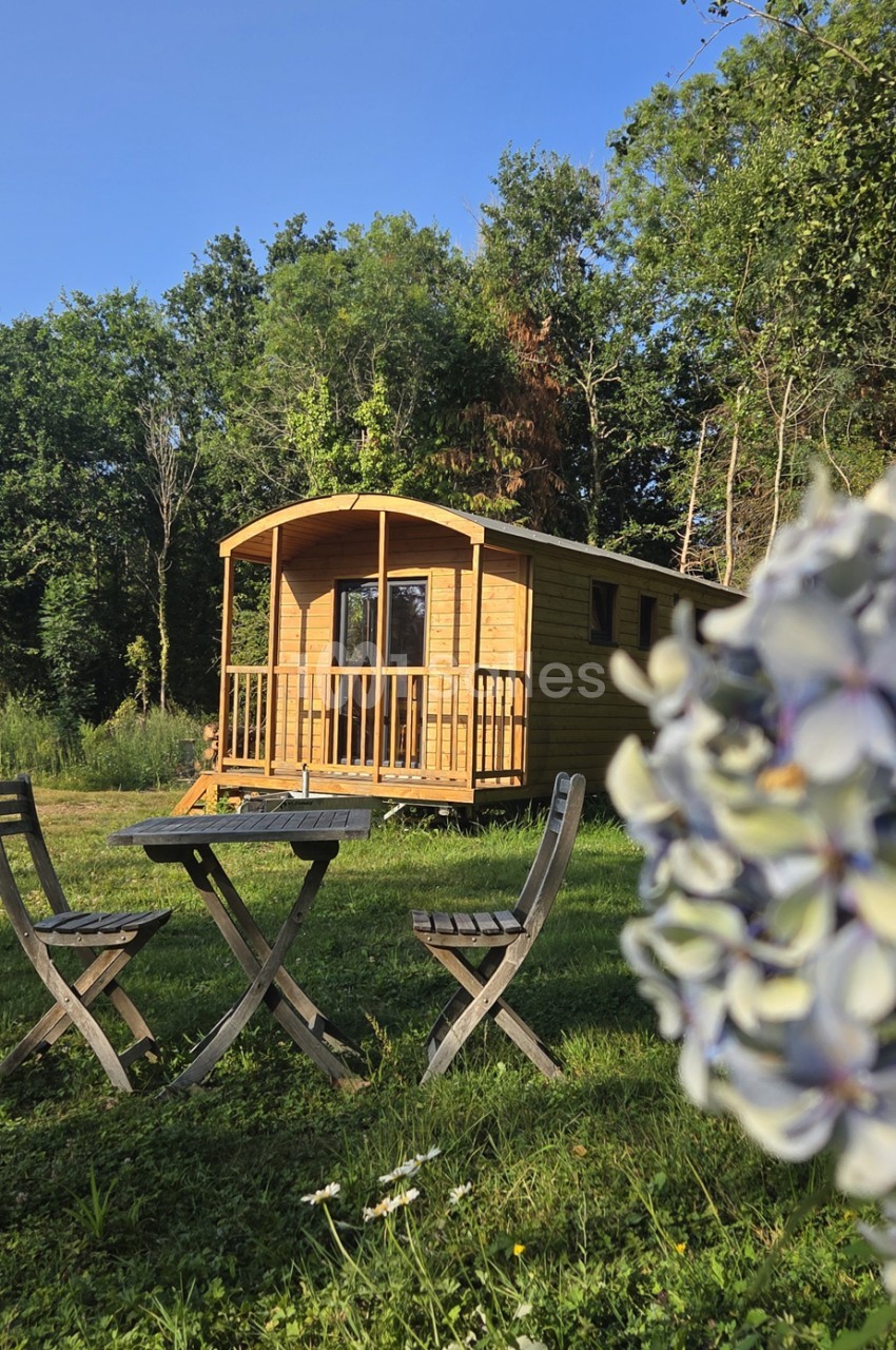 Tiny house en bois beige avec terrasse couverte, entourée d'arbres et de pelouse verte.