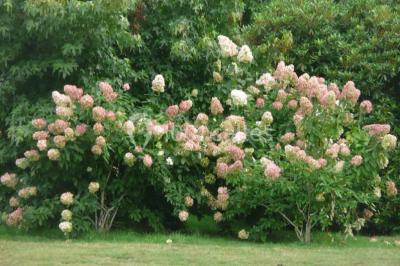 Location salle Quimper (Finistère) - Le Manoir Hôtel Des Indes #22
