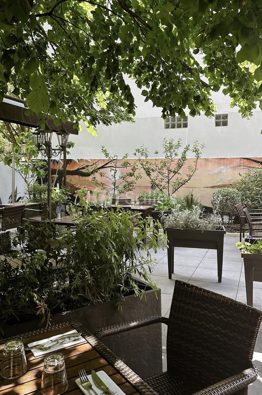 Terrasse ombragée de restaurant avec tables en bois, chaises en rotin, couverts dressés et grands bacs de plantes sous des arbres.