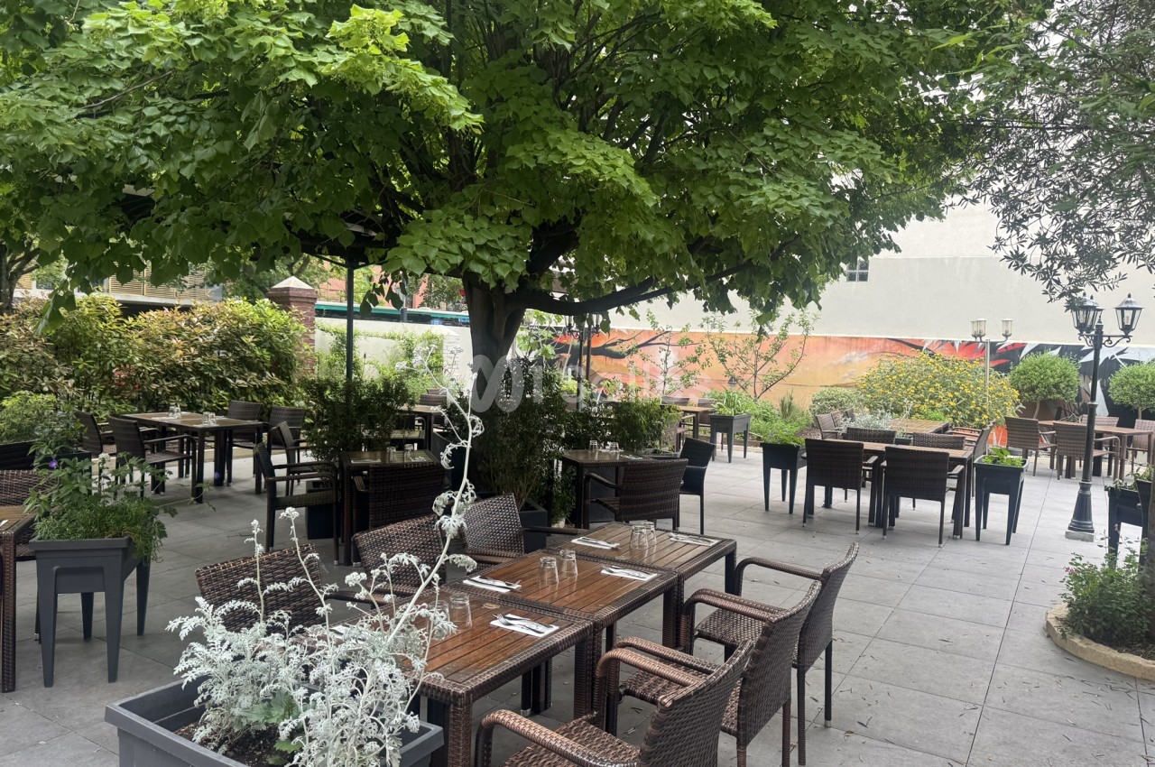 Terrasse extérieure ombragée par un grand arbre, avec des tables en bois et chaises en résine tressée dressées pour le repas, entourées de plantes et de jardinières.