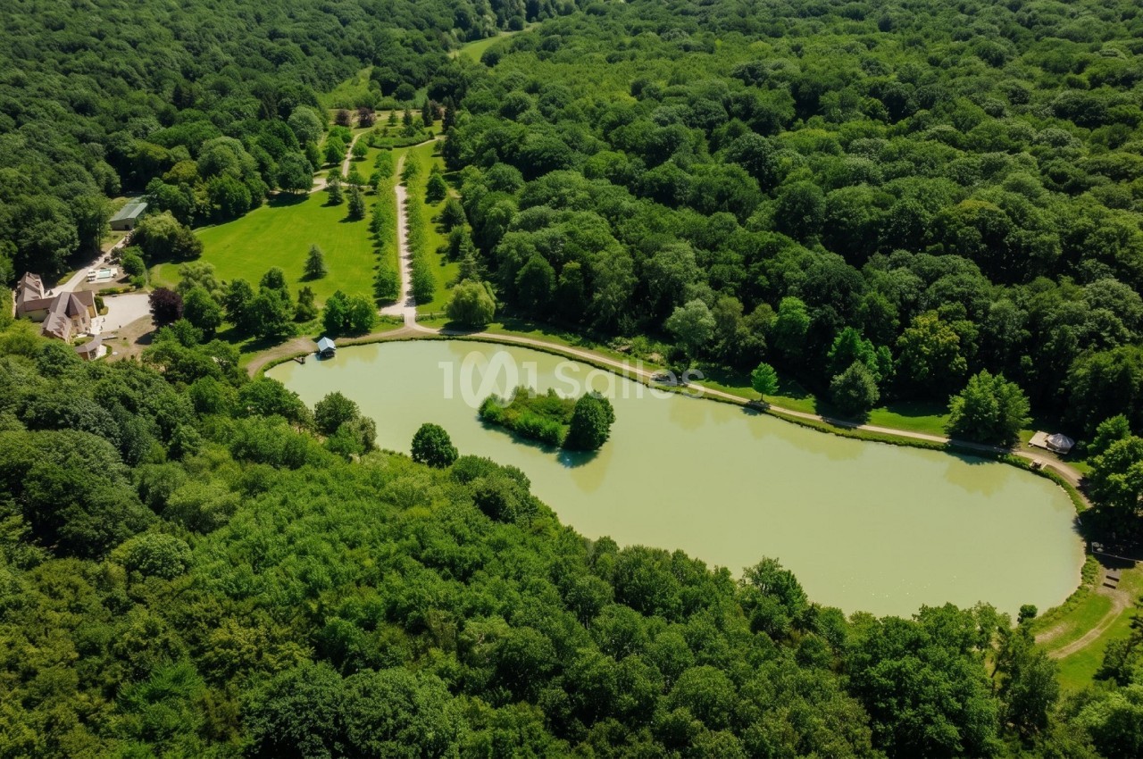 Vue aérienne d'un grand étang au milieu d'une forêt dense, avec une petite île boisée, un sentier en bordure et une demeure avec piscine à gauche. Wait, I must not start with "Vue de", "Image de", "Photo de". "Vue aérienne d'un..." starts with "Vue