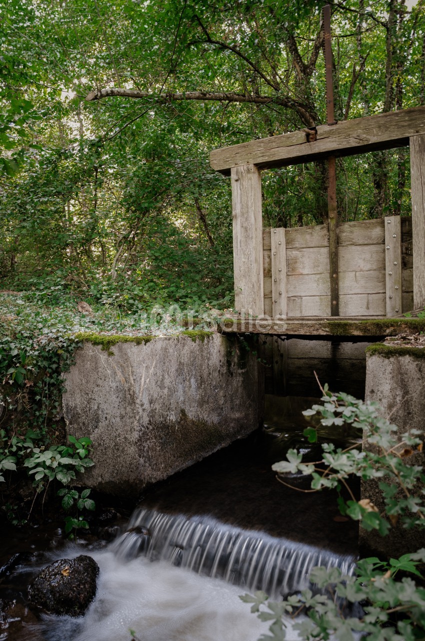 Petit cours d'eau en cascade sur un seuil en béton, avec une vanne en bois dans une végétation dense.