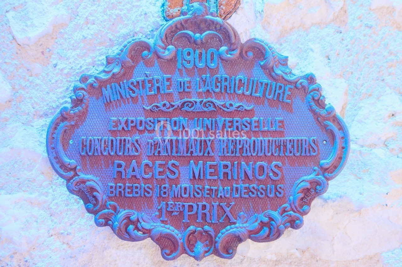 Plaque ancienne en métal gravée, récompensant un concours agricole de 1900 pour des races mérinos reproductrices.