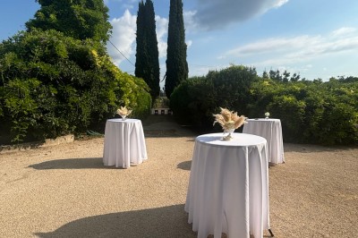 Table en bois à l'extérieur avec des plantes en pot, une boîte aux lettres verte, des paniers et un photomaton en arrière…