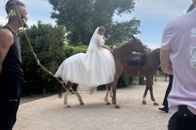 Coccinelle blanche décorée de fleurs blanches pour un mariage, stationnée sous un arbre dans un cadre verdoyant.
