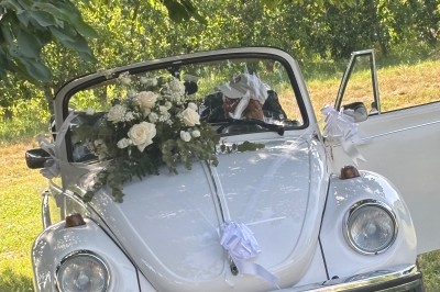 Coccinelle blanche décorée de fleurs blanches pour un mariage, stationnée sous un arbre dans un cadre verdoyant.