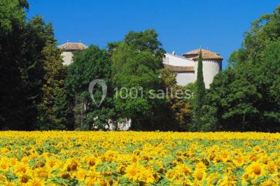 Location salle Plaigne (Aude) - Château La Commanderie #6