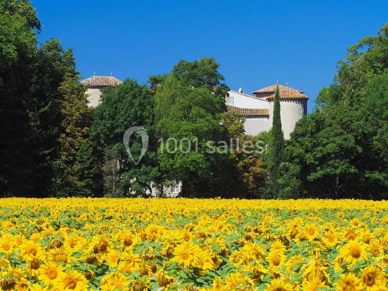 Location salle Plaigne (Aude) - Château La Commanderie #2