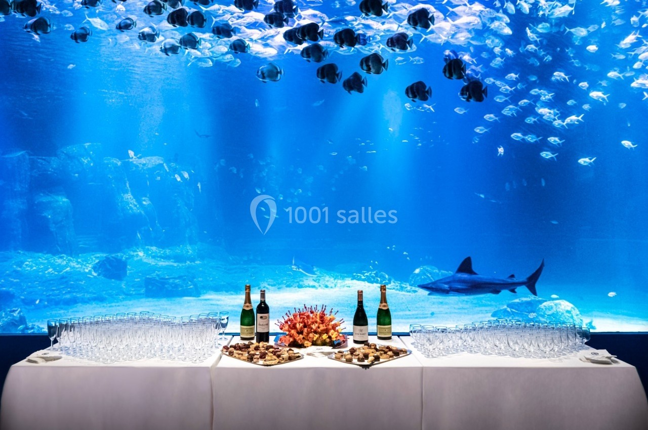 Table dressée avec coupes, bouteilles de champagne et amuse-bouches devant un grand aquarium avec poissons et requin.