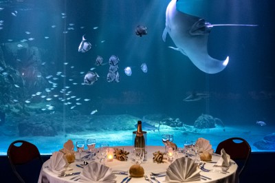Salle lumineuse avec des tables en bois, des stands d'exposition et des personnes observant ou manipulant des objets.