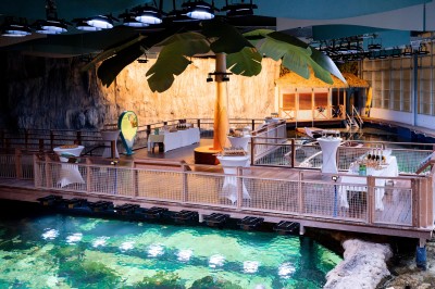 Salle lumineuse avec des tables en bois, des stands d'exposition et des personnes observant ou manipulant des objets.