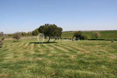 Terrasse en bois avec garde-corps métallique, offrant une vue dégagée sur un paysage champêtre sous un ciel bleu.