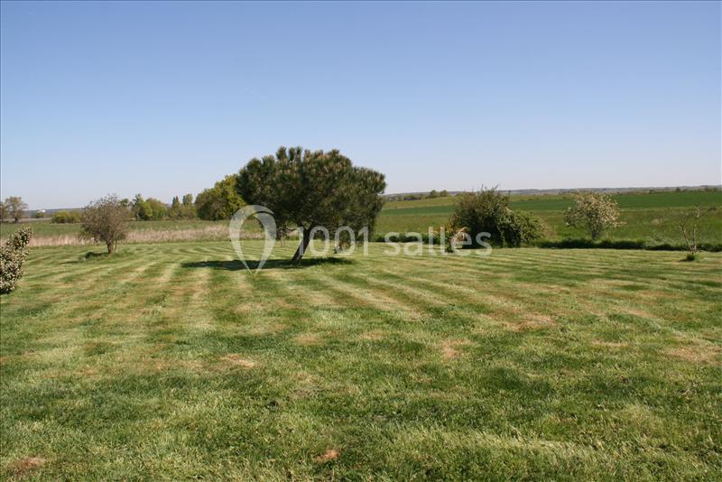 Pelouse verte avec un arbre isolé au centre, entourée de quelques buissons et champs sous un ciel dégagé.