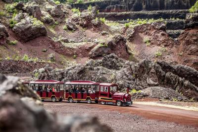 Chambre lumineuse avec lit double, mur décoré de papier peint à motifs végétaux et éclairage d'appoint.