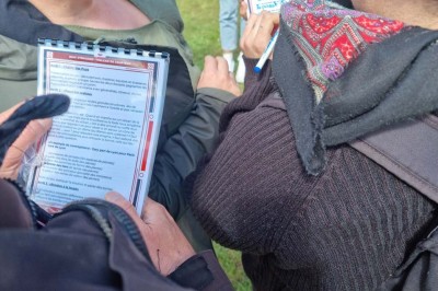 Paysage d'une ancienne carrière volcanique avec des formations rocheuses, entourée de végétation et sous un ciel bleu.