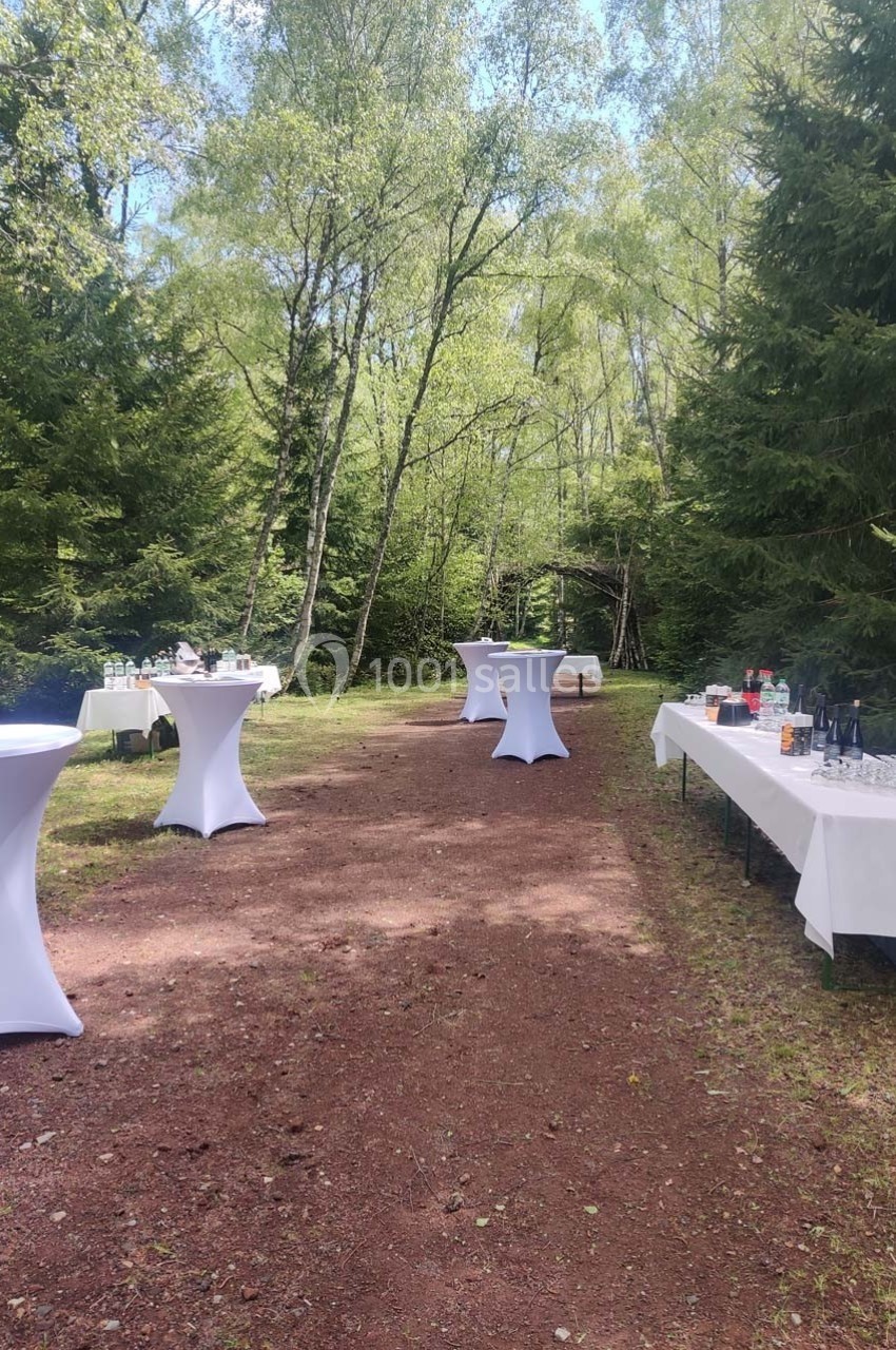 Tables hautes et buffets dressés en extérieur dans une clairière entourée d'arbres, pour un événement en plein air.